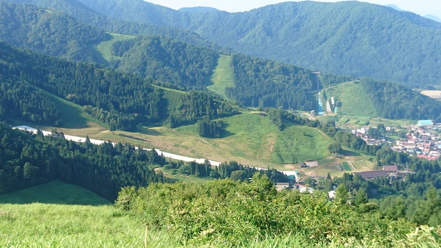 近くの風景