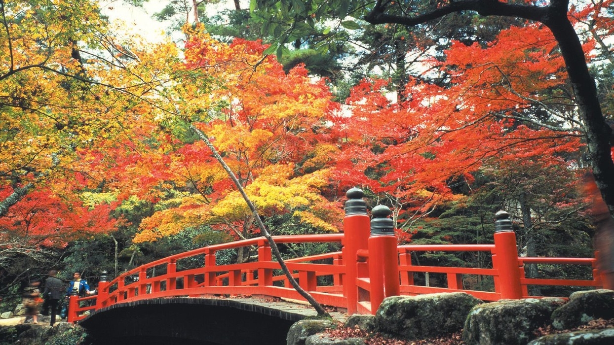 嚴島神社30周年×クラブラウンジ誕生10周年 記念ステイ_予約時確認事項あり