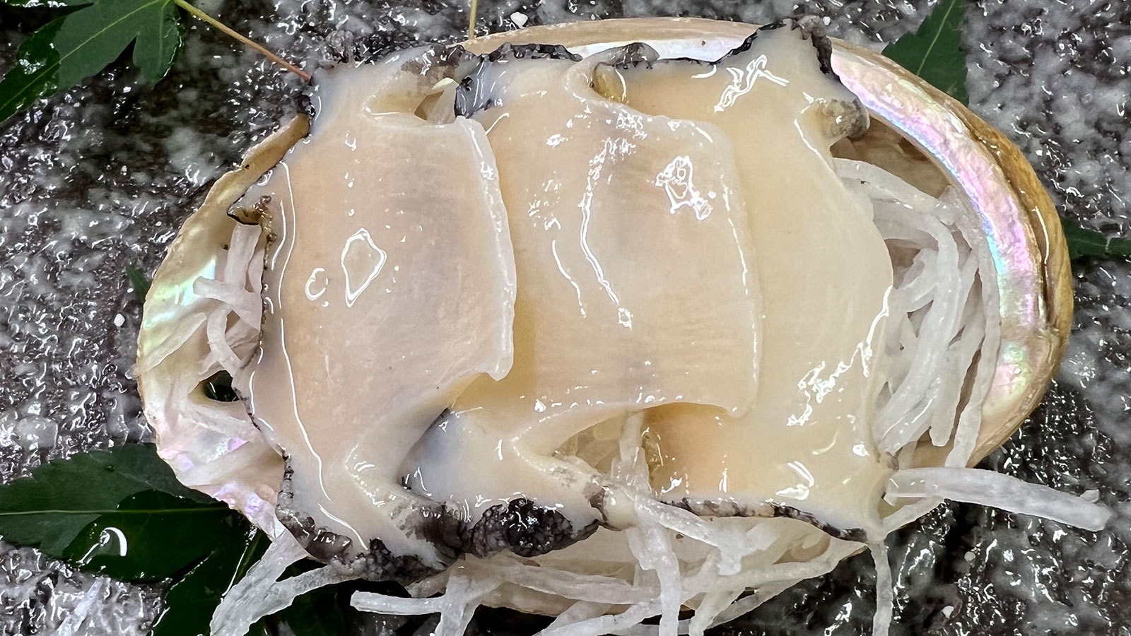 【平日限定◆お値打ち14，800円】鯛舟盛りに鮑造り・和牛石焼きも！海の味覚満喫会席