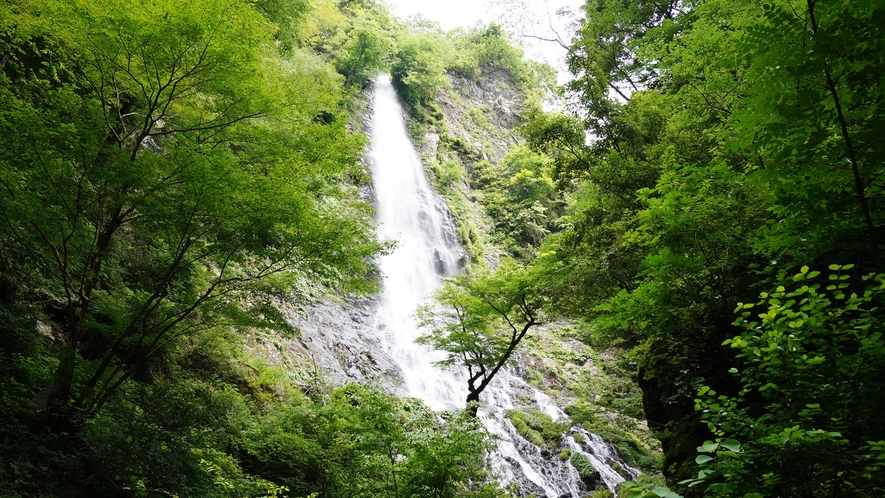 日本の滝100選に選ばれた落差98mの名瀑・天滝
