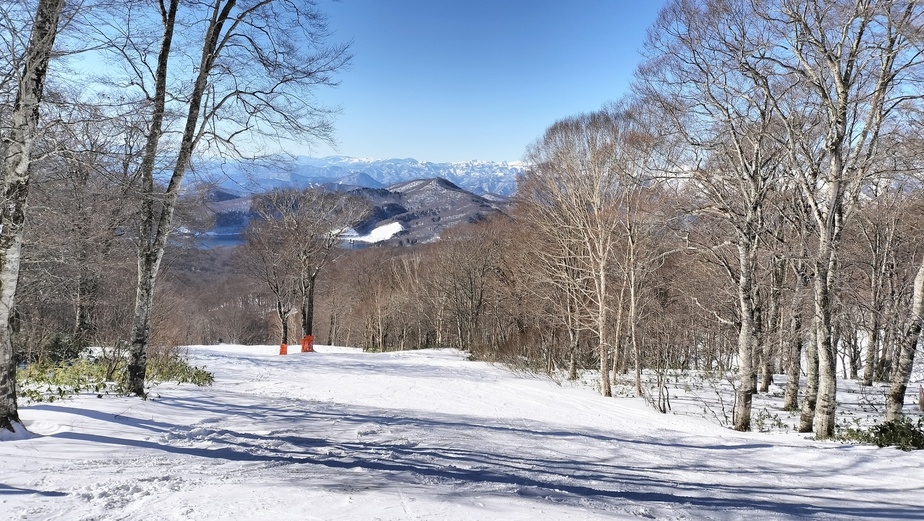 【スキー・スノボ】■１泊２食基本プラン■洋風フルコースで大満足♪