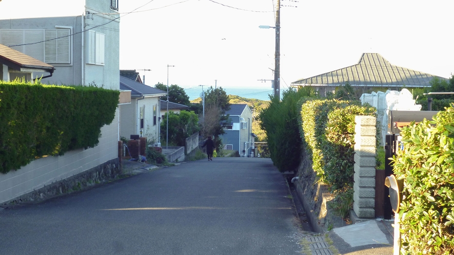 ・【宿周辺】静かな住宅地に立地しており、館山の海を見下ろすことができます
