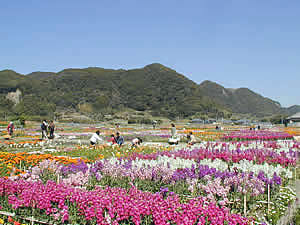 ペンション 菜の花 宿泊プラン一覧 楽天トラベル ペンション 菜の花 宿泊プラン一覧 楽天トラベル