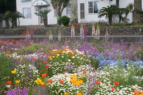 ペンション 菜の花 宿泊予約 楽天トラベル ペンション 菜の花 宿泊予約 楽天トラベル