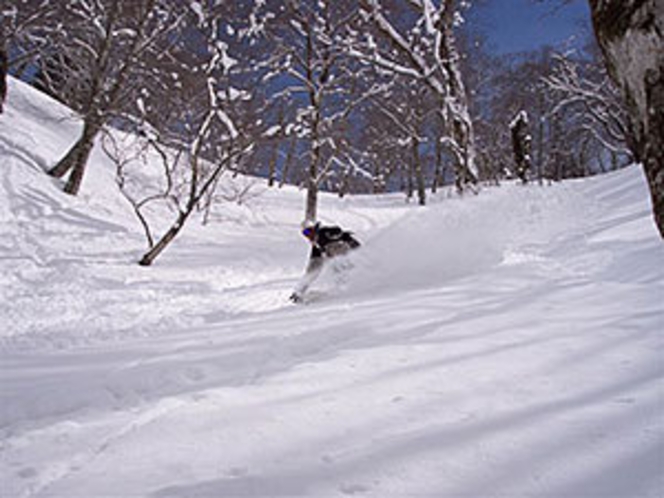スキー（宝台樹）