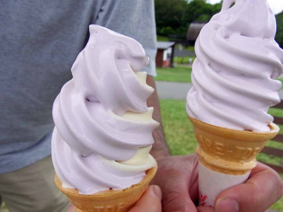 ★　早朝出発？それとも朝寝坊！？朝食なしプラン　★　ラベンダーパーク入園券付き