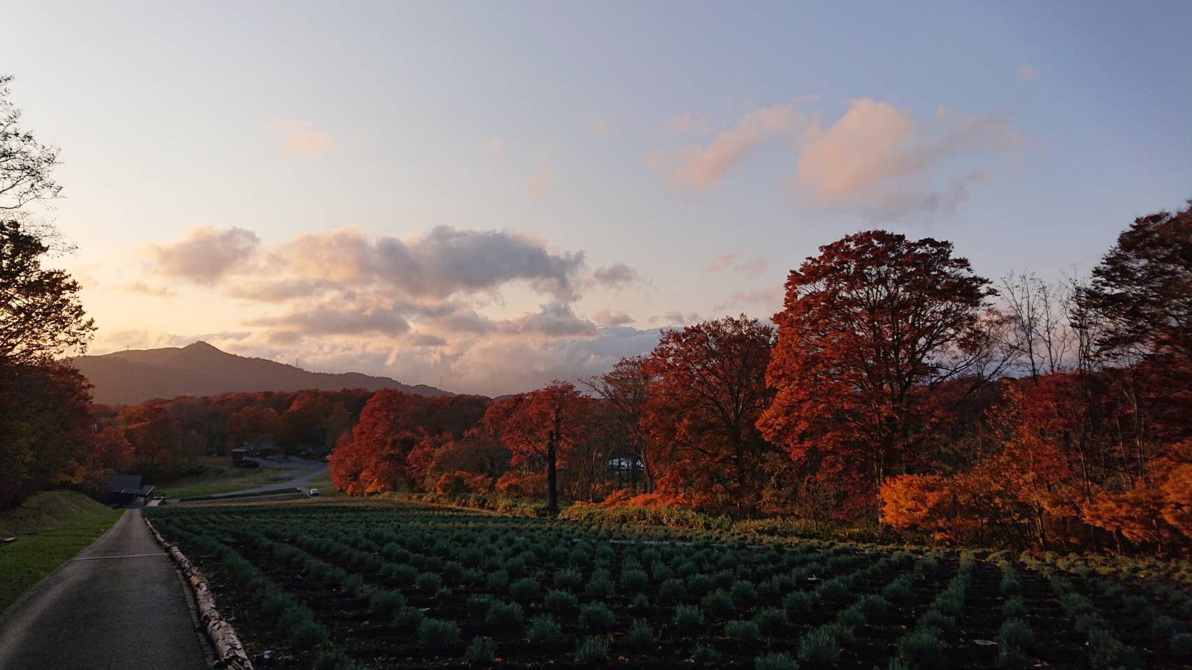 素泊まり（深夜着、夕食、朝食なし）のプランです。