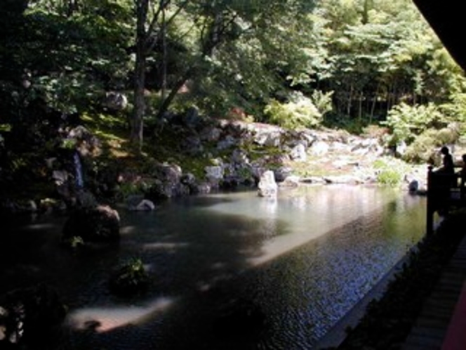 吉祥寺　庭2