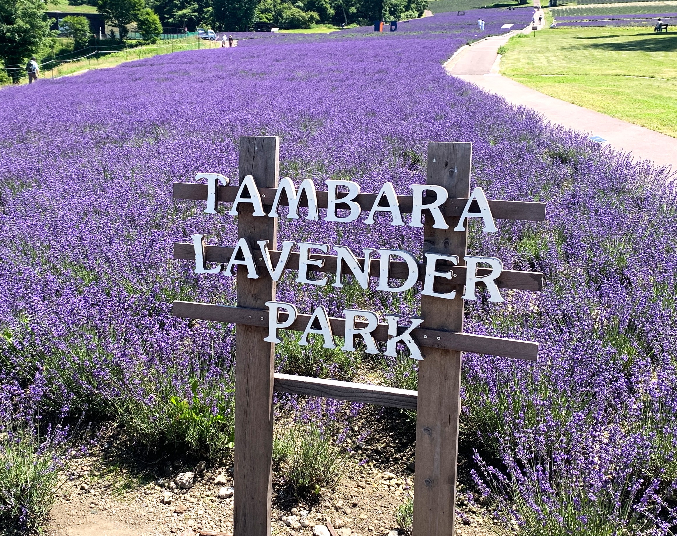 TAMBARA LEVENDER PARK