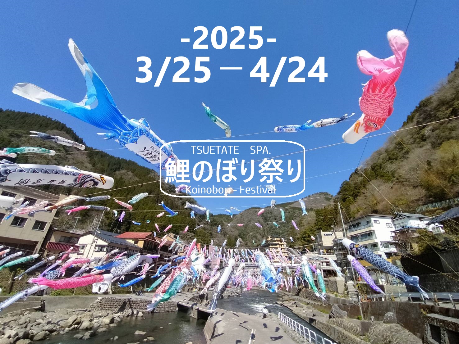 2025年　3/25～４/２４鯉のぼり祭り開催