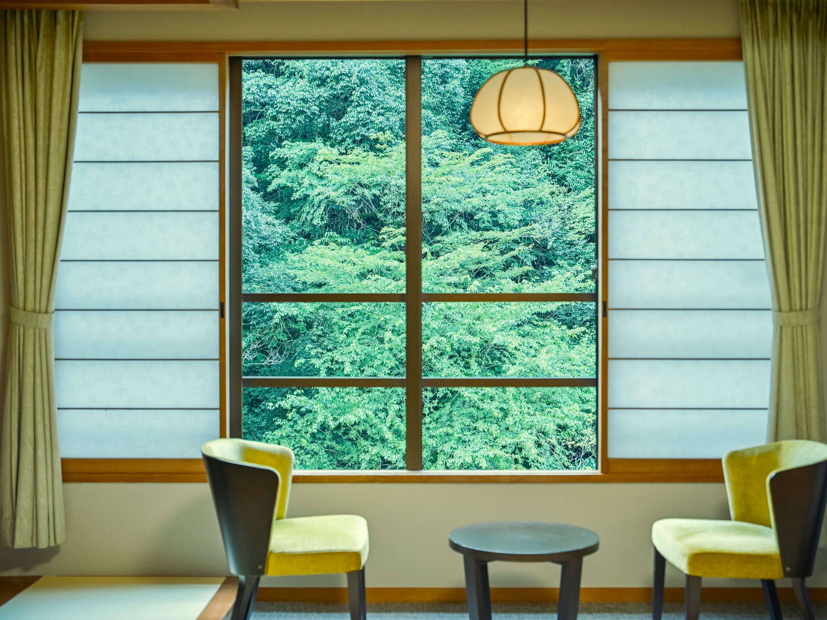 客室より原生林を望む風景