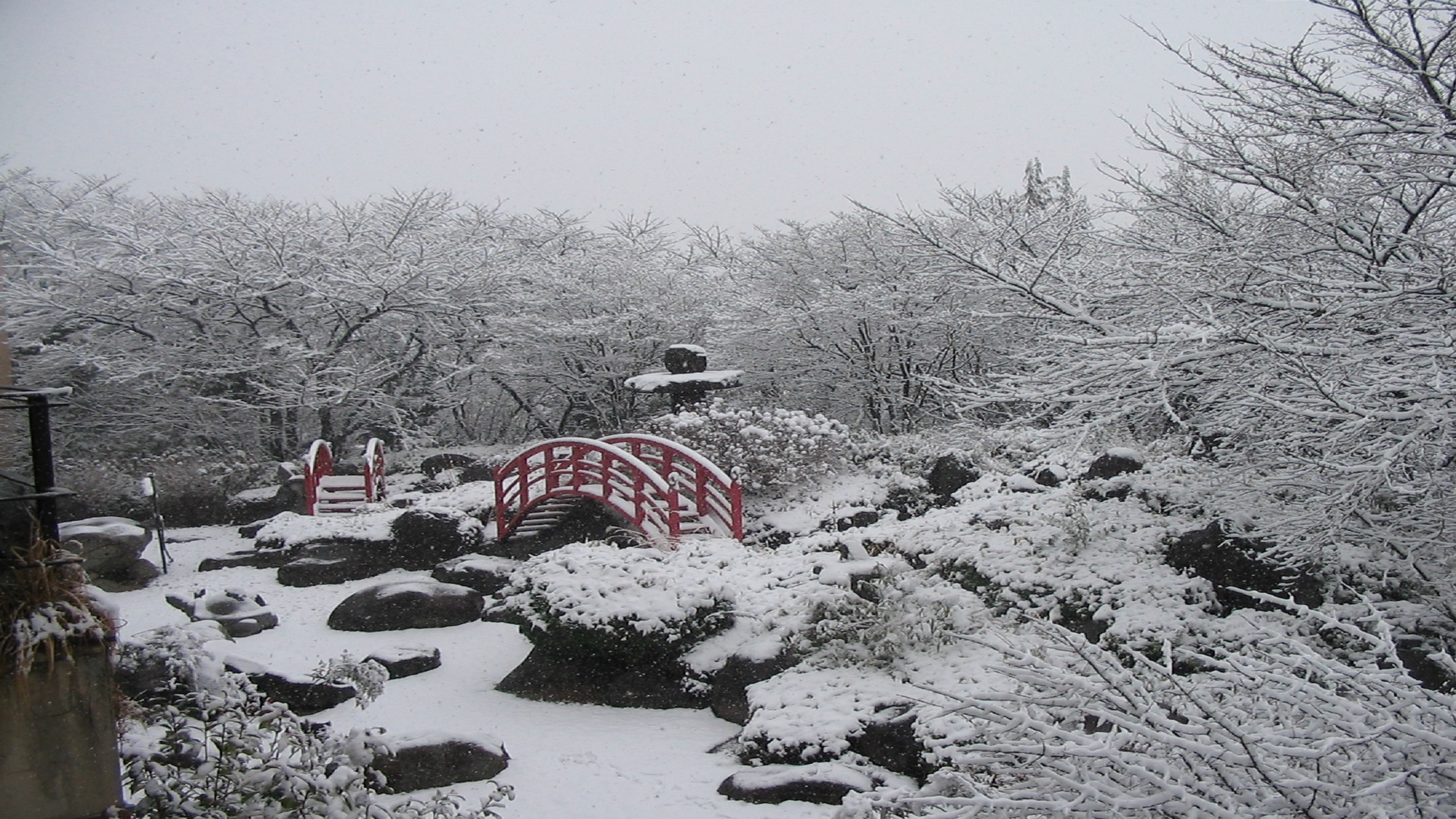 雪化粧した日本庭園