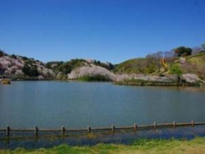 【蓮花寺池公園】 「花・水・鳥」がテーマの公園。４月には桜が５月には市の花・藤が咲き誇ります。