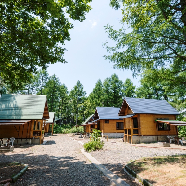 夏のどんぐり村