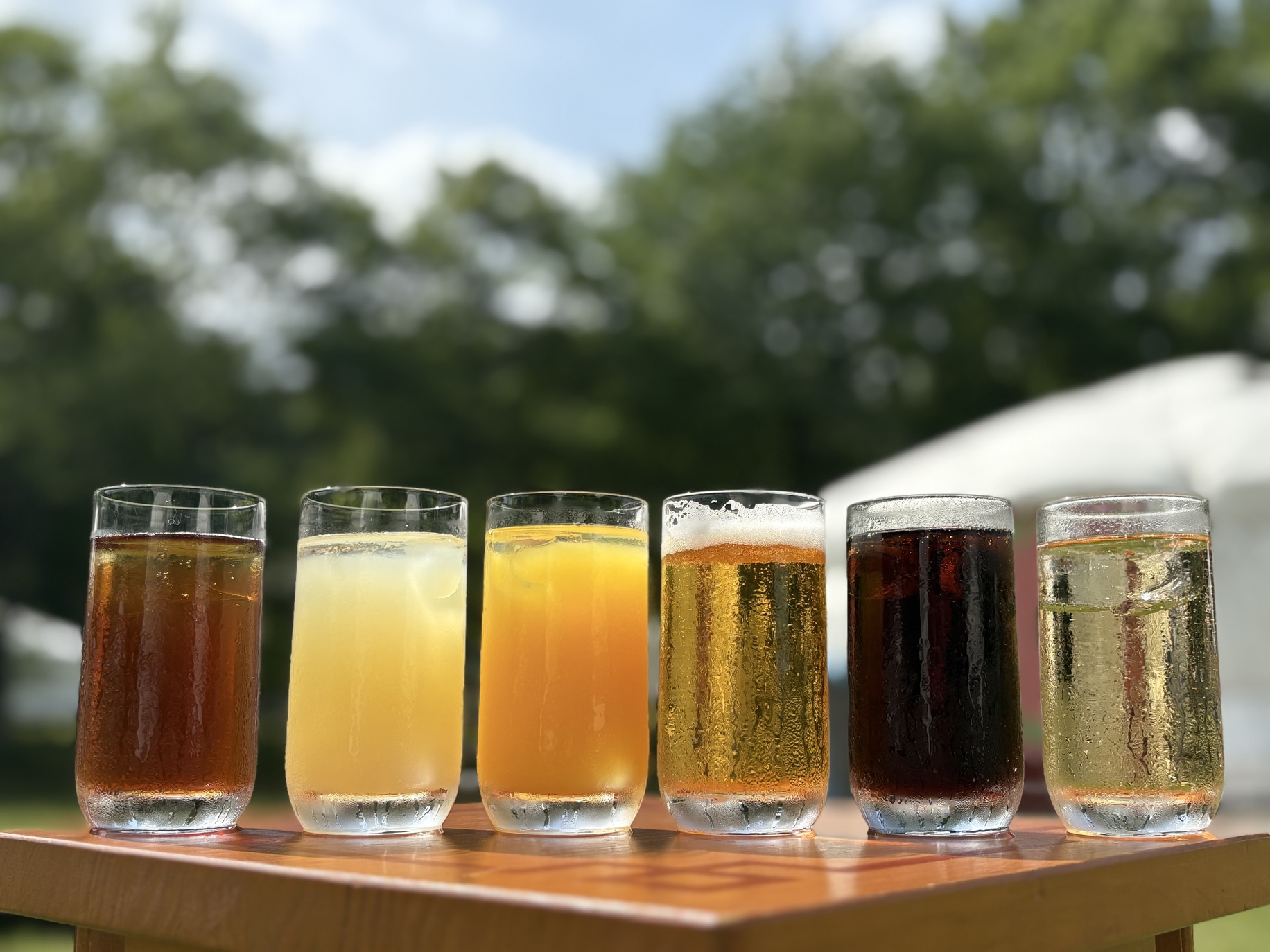 【ご夕食17：30でワンドリンク付】ちょっとお早目のご夕食でちょっぴりプレゼント付♪