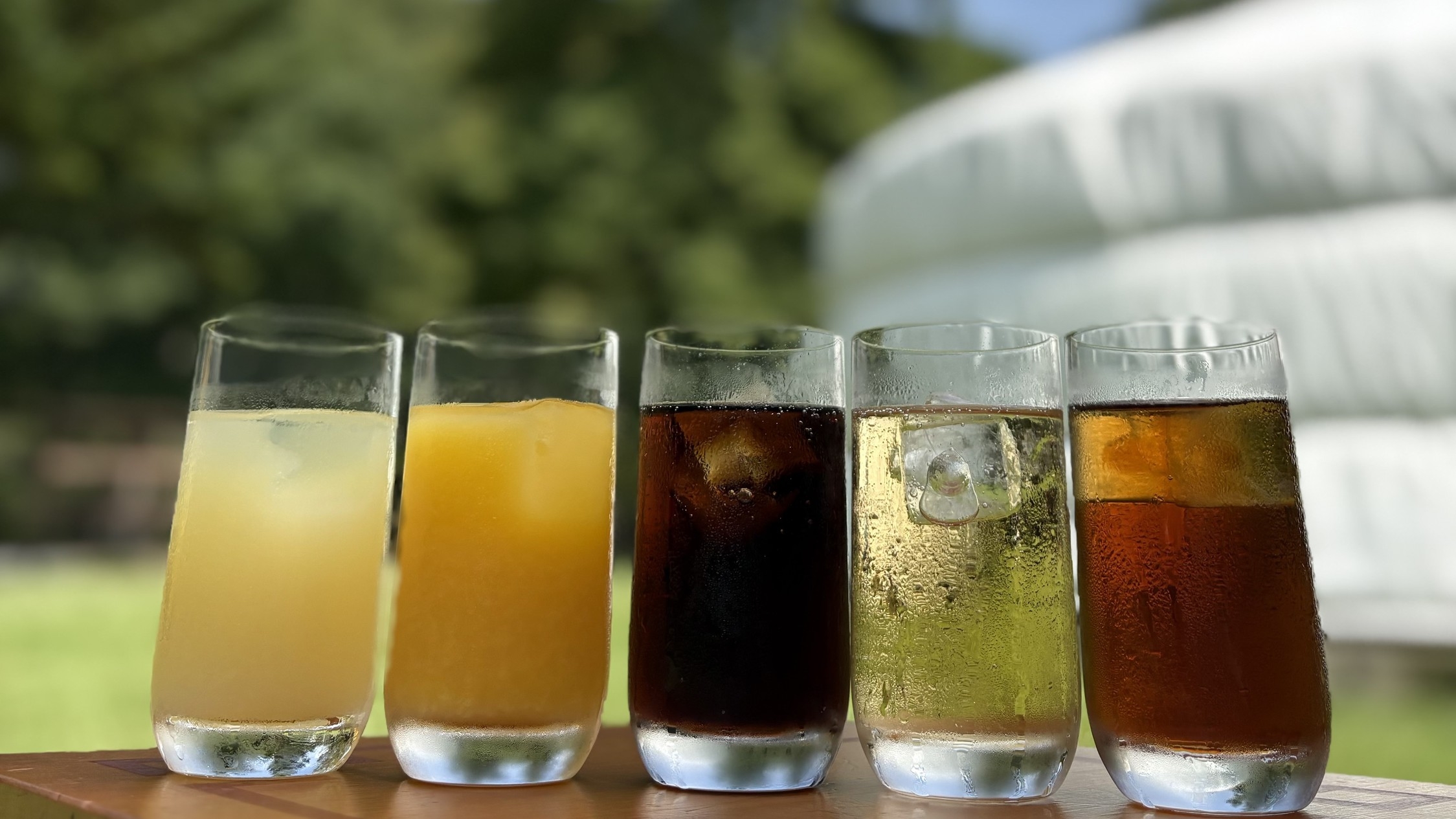 【家族旅行応援！花火付♪】まるでスーホの白い馬の世界？！夜は馬頭琴の生演奏会♪お子様はお得にご宿泊！