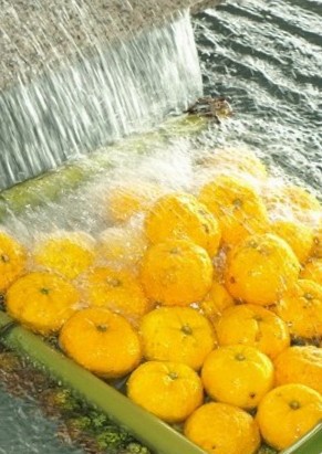 photo9