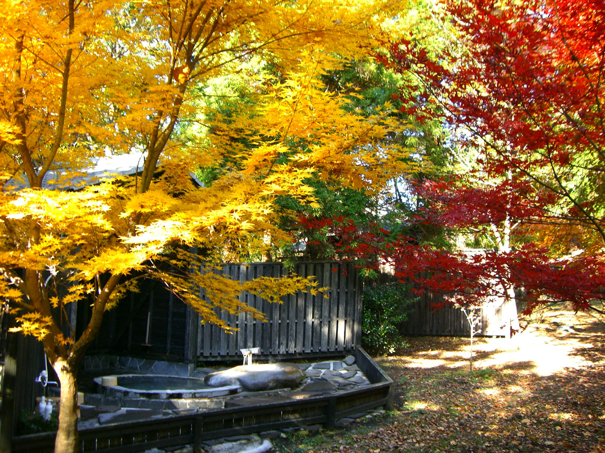 紅葉モミジの湯