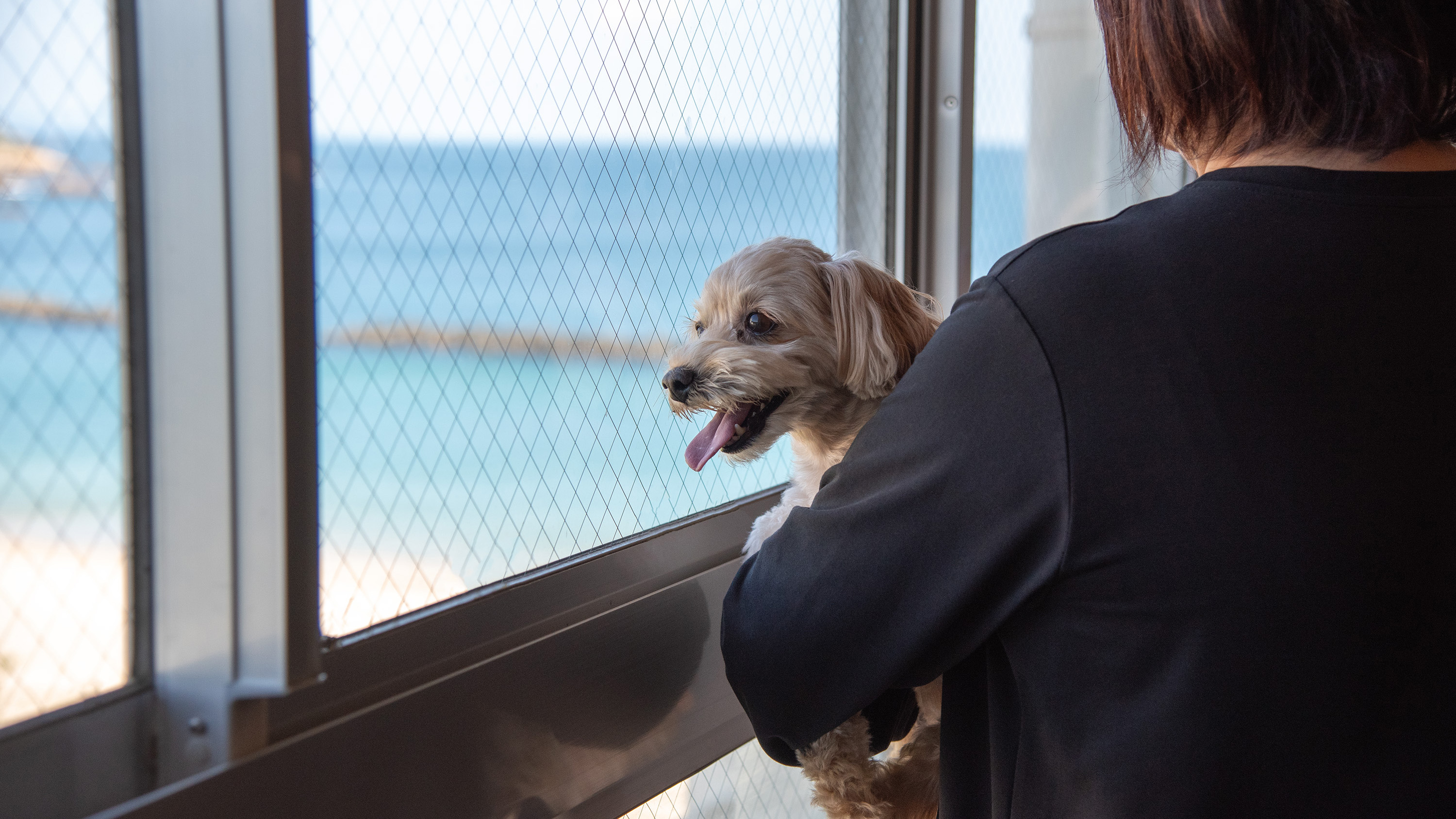 【ワンちゃんと泊まれるお部屋】お部屋からはオーシャンビュー