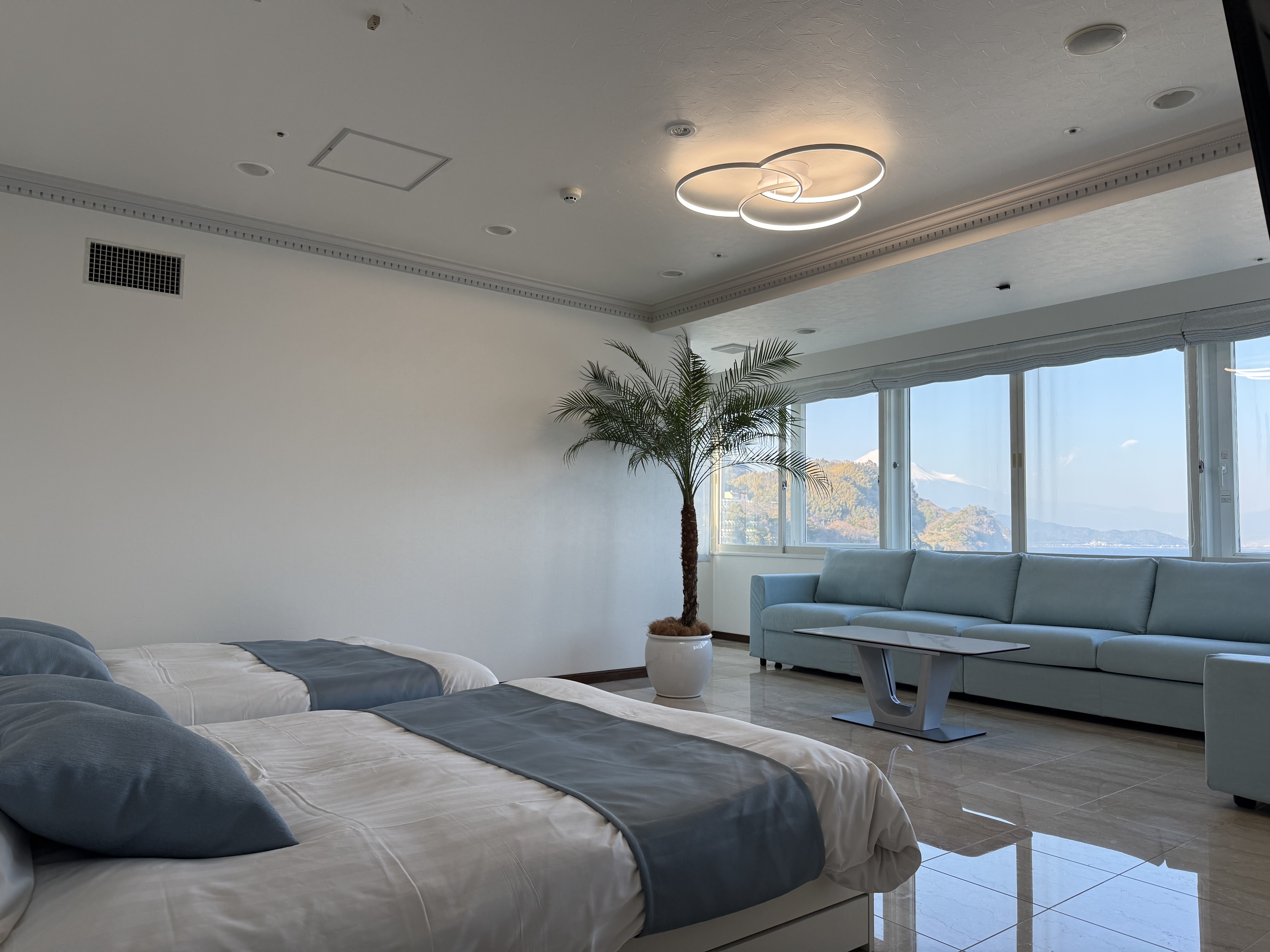 オーナールーム洋室（110平米）