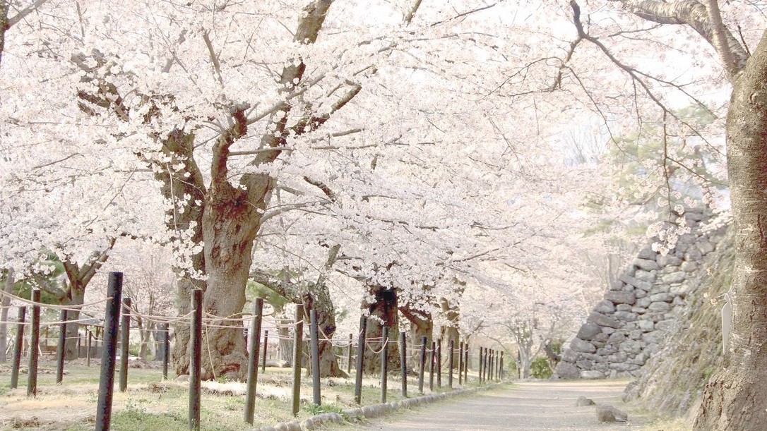 【懐古園】春