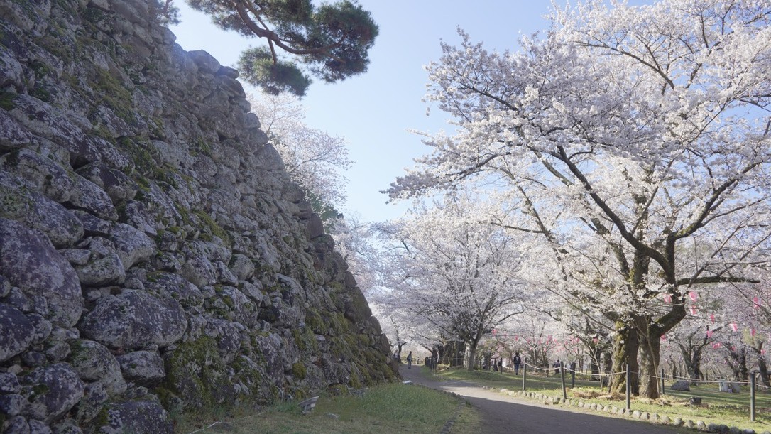 【懐古園】春