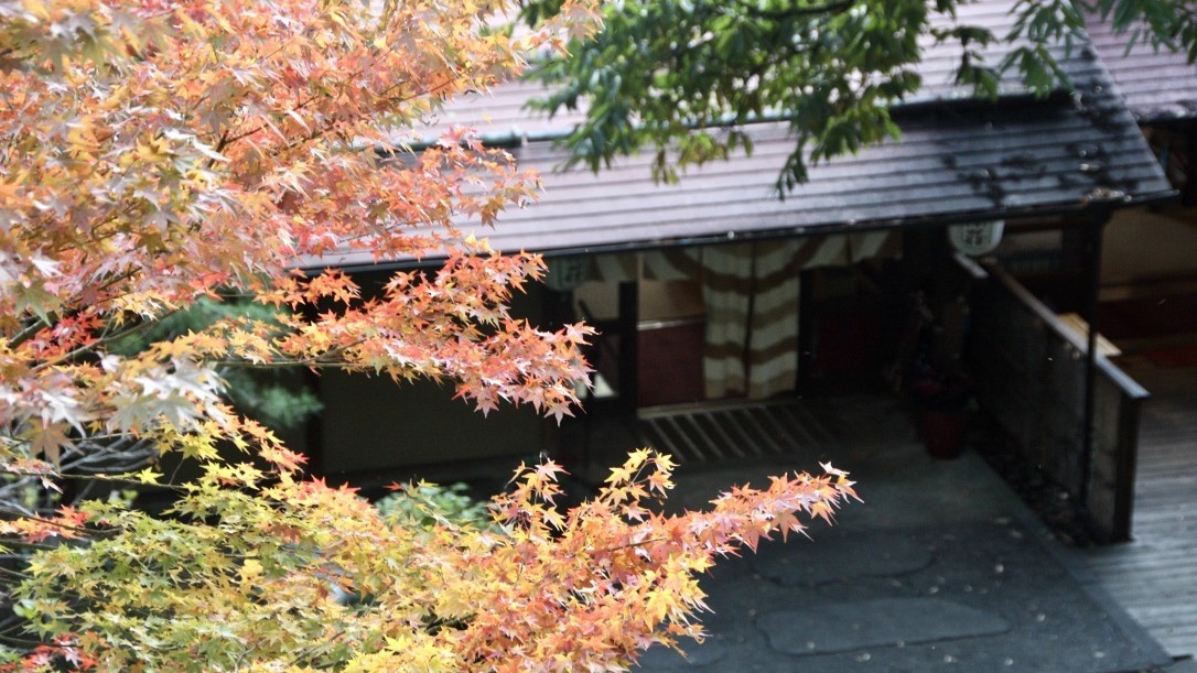 外観（紅葉）