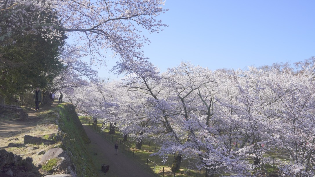 【懐古園】春