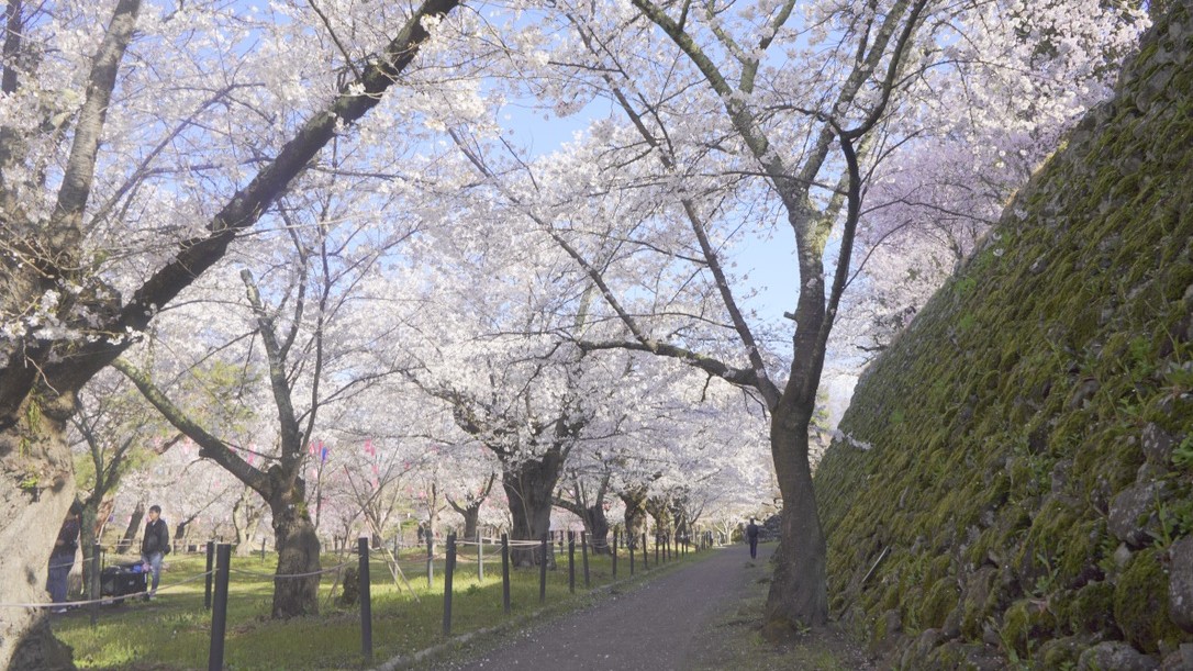 【懐古園】春