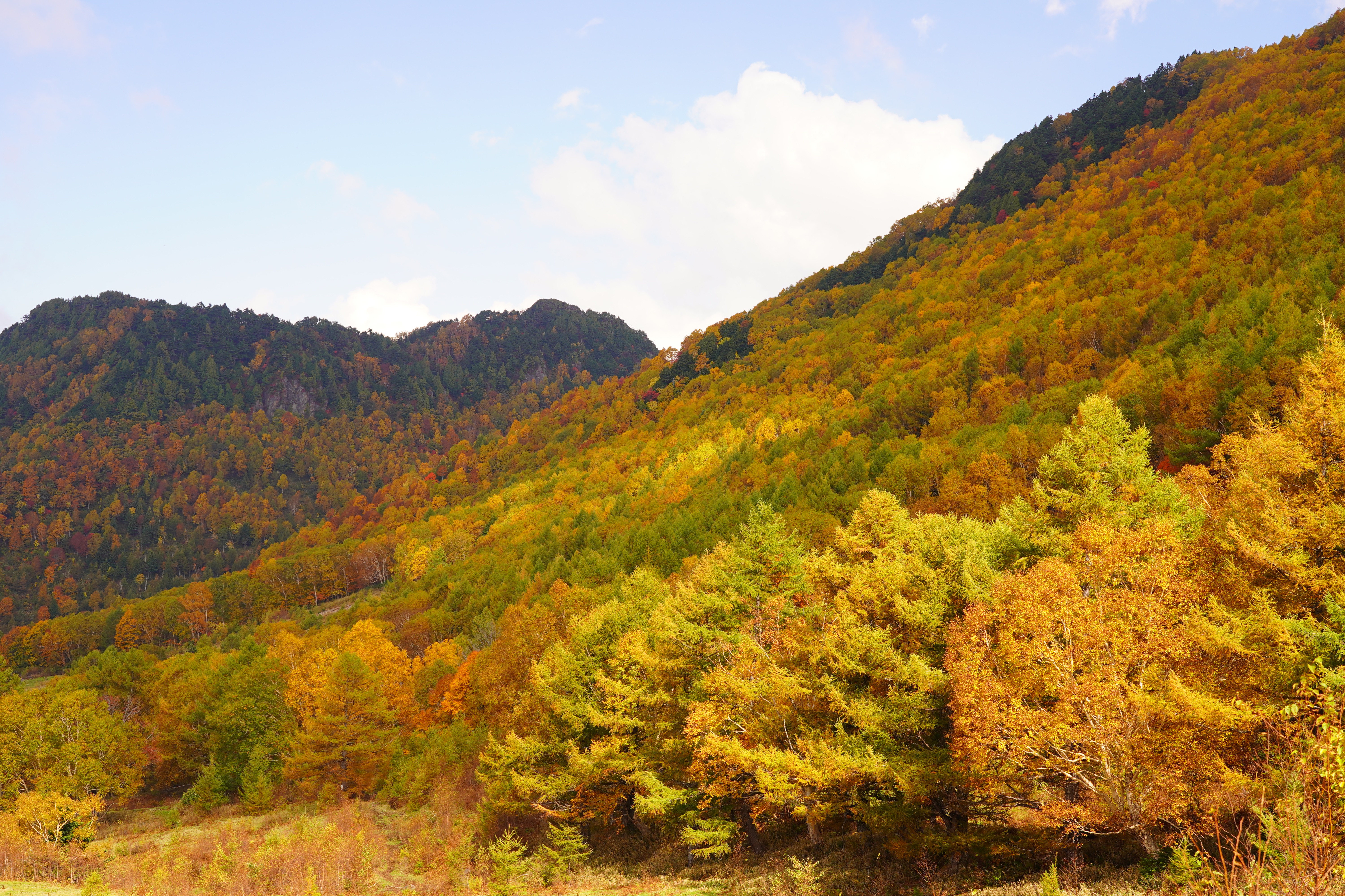 信州の雄大な山々