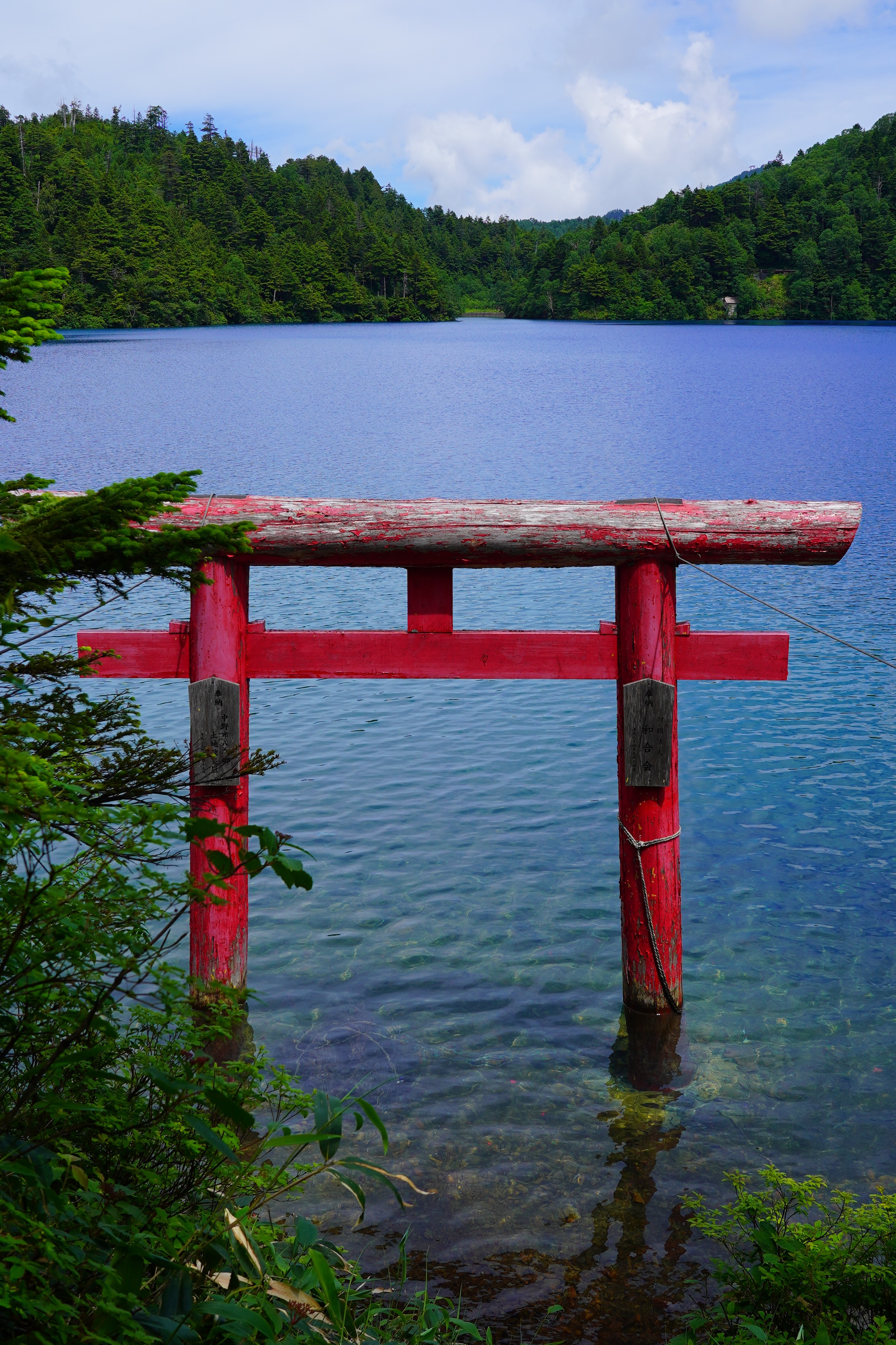 静かな湖畔の鳥居