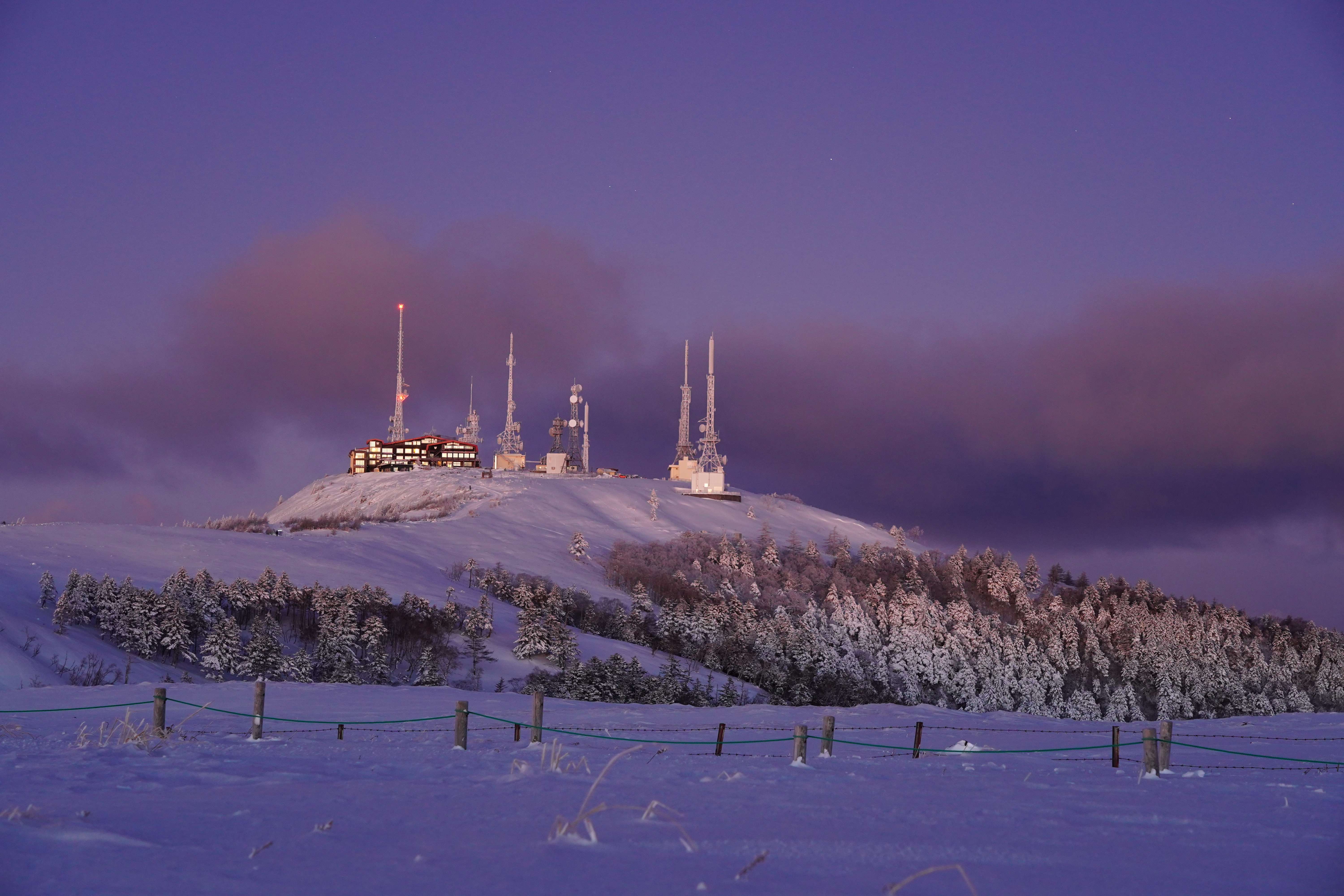 雪原