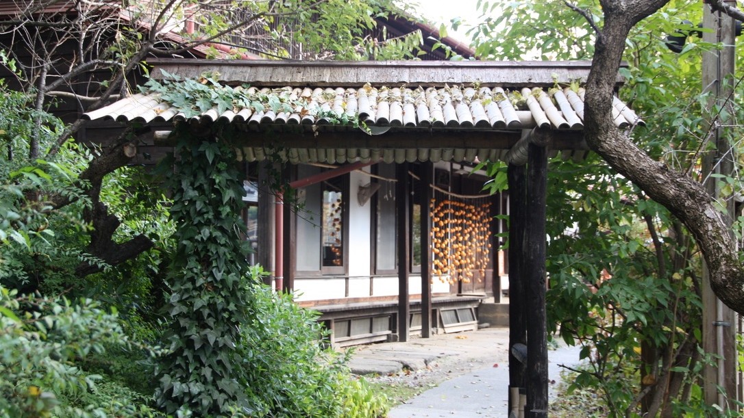 緑と歴史が息づく軒先の景色
