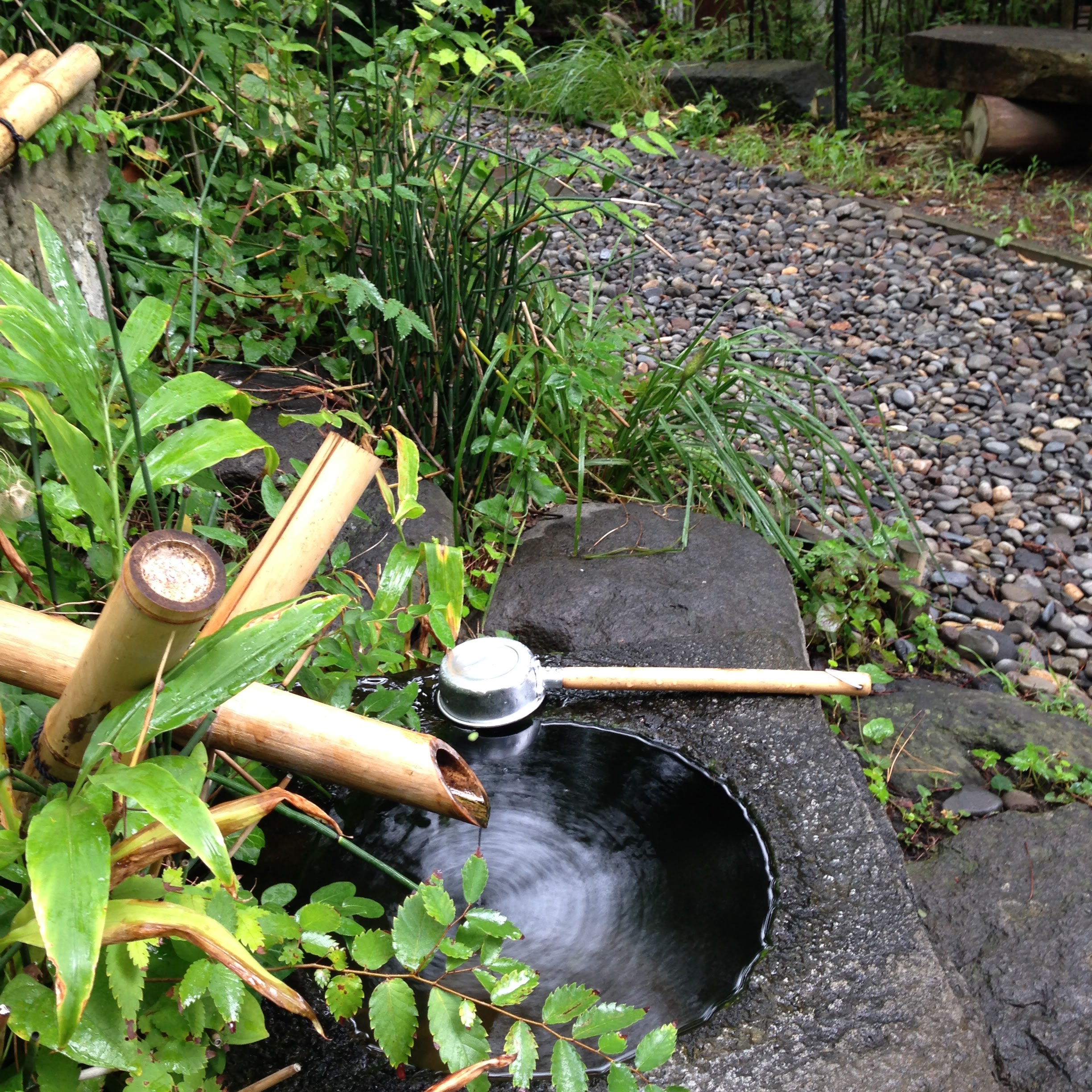 筧と蹲が昔ながらの雰囲気を高めてくれます