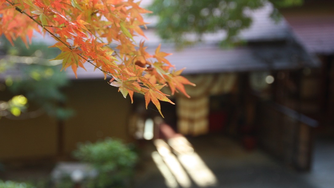外観（紅葉）