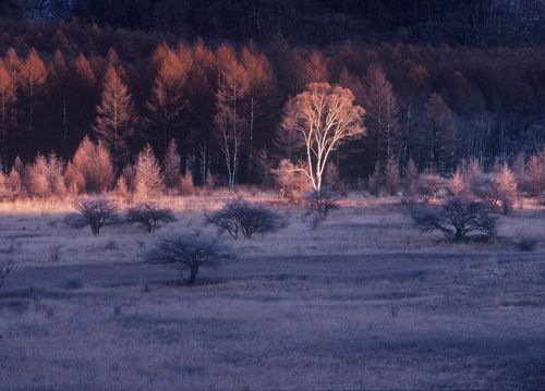 日光の四季かなでる宿 森のうた - 写真 91
