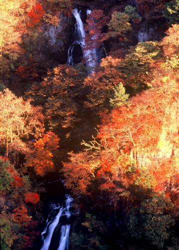 日光の四季かなでる宿 森のうた - 写真 95