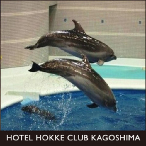 水族館