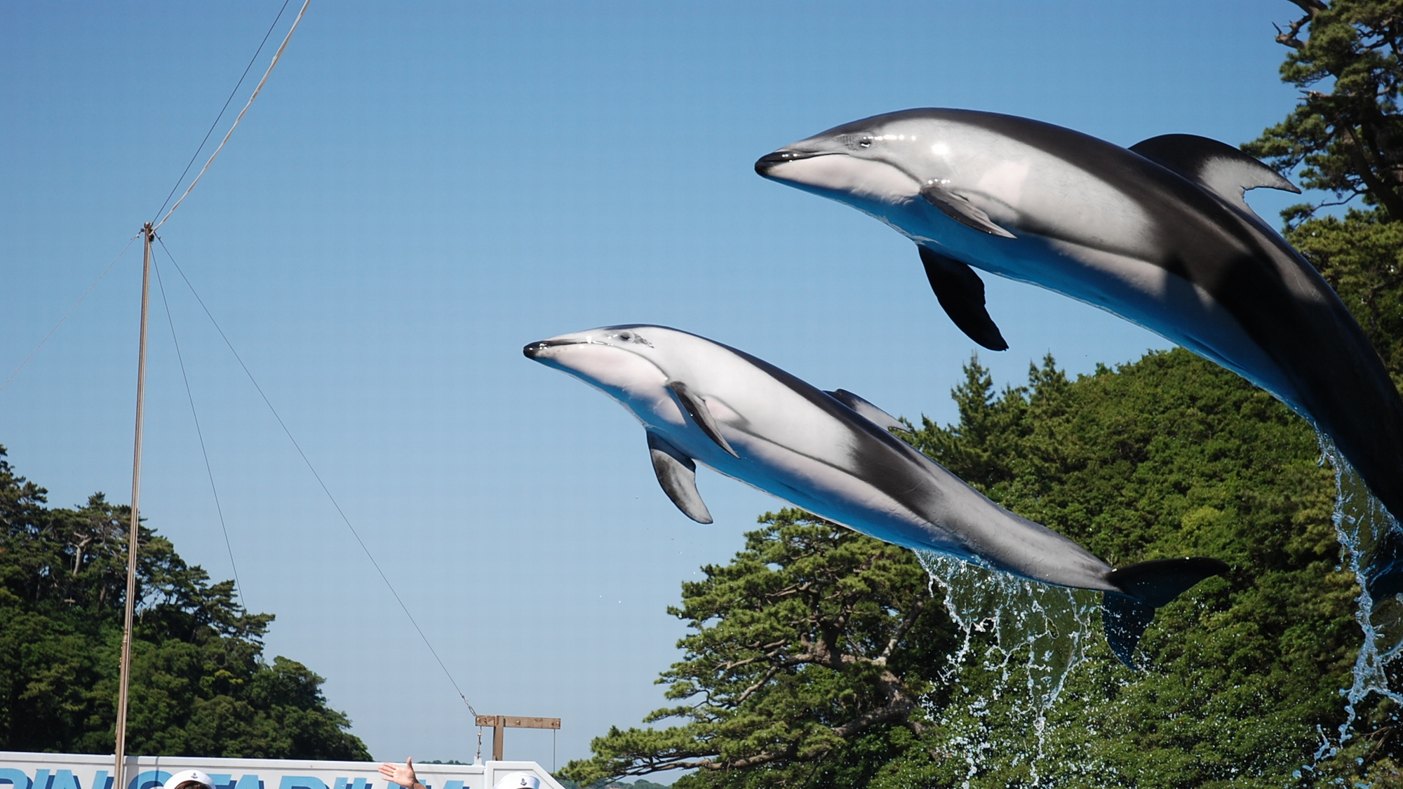 水族館1