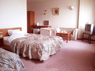 Deluxe　Twin　room