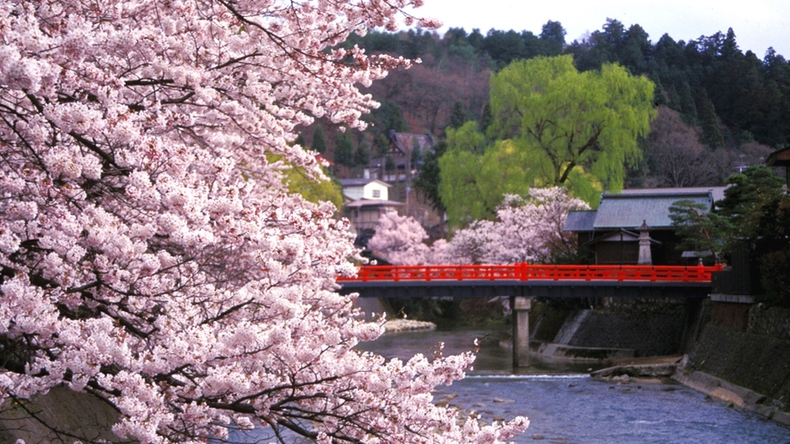 春の高山