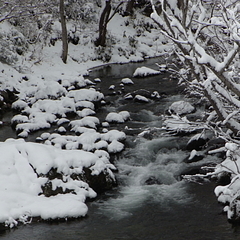 木ノ根沢【モノクロ】