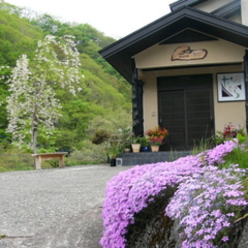 春には、たくさんの花々に囲まれます