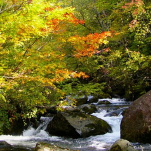 照葉峡の紅葉2