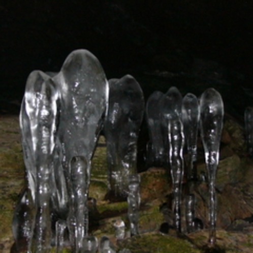 神秘の洞窟「大幽」の氷筍