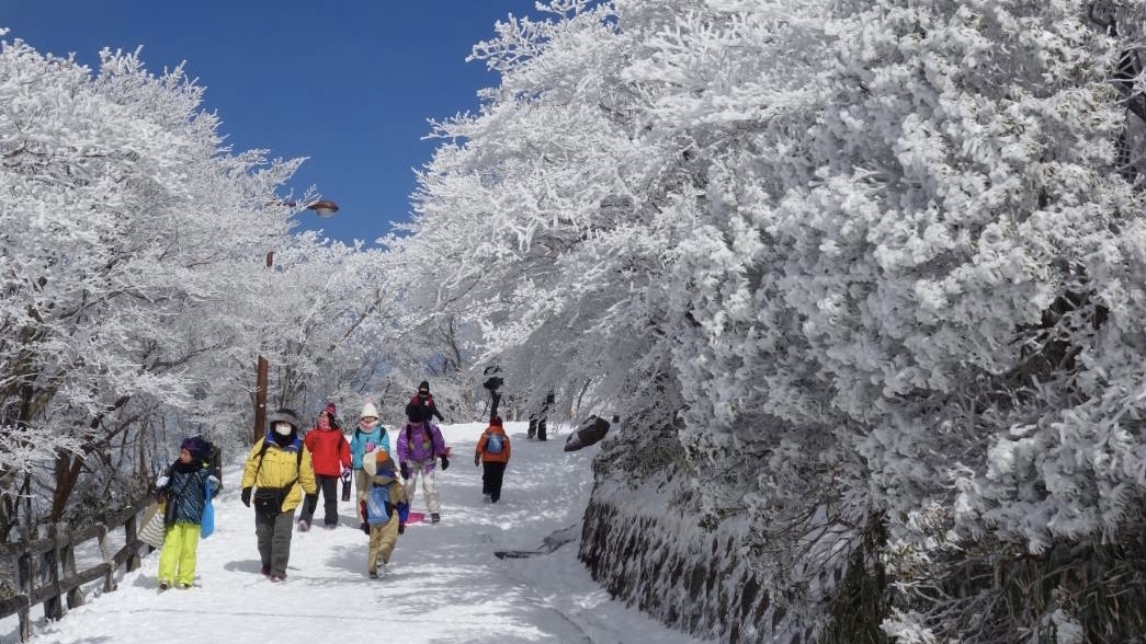 ◆登山プラン【送迎なし】◆近い登山口まで徒歩3分！御在所岳コーヒー特典付