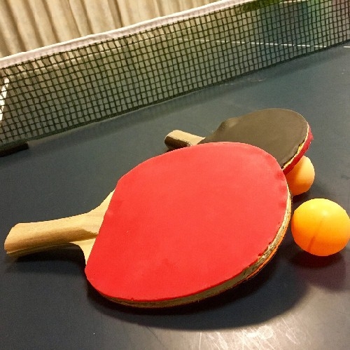 【楽天限定】【基本会席×お食事処】大人3名以上プラン「湯の本温泉卓球」10分プレイ無料！