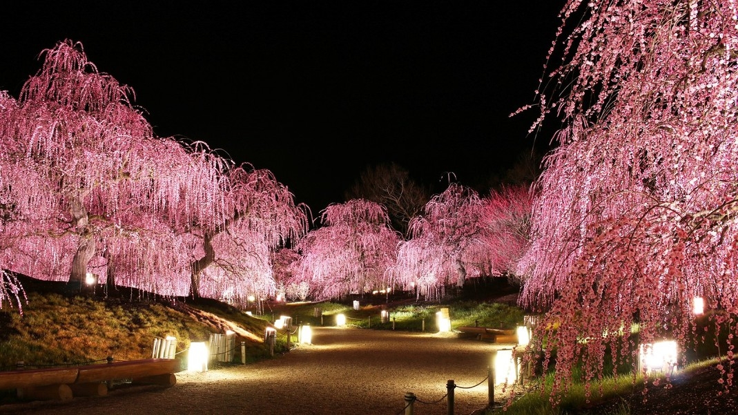 【広間食｜シニアプラン】■ゆっくり“美味”を楽しむ大人旅♪〜食材にも、器にも拘った創作会席〜