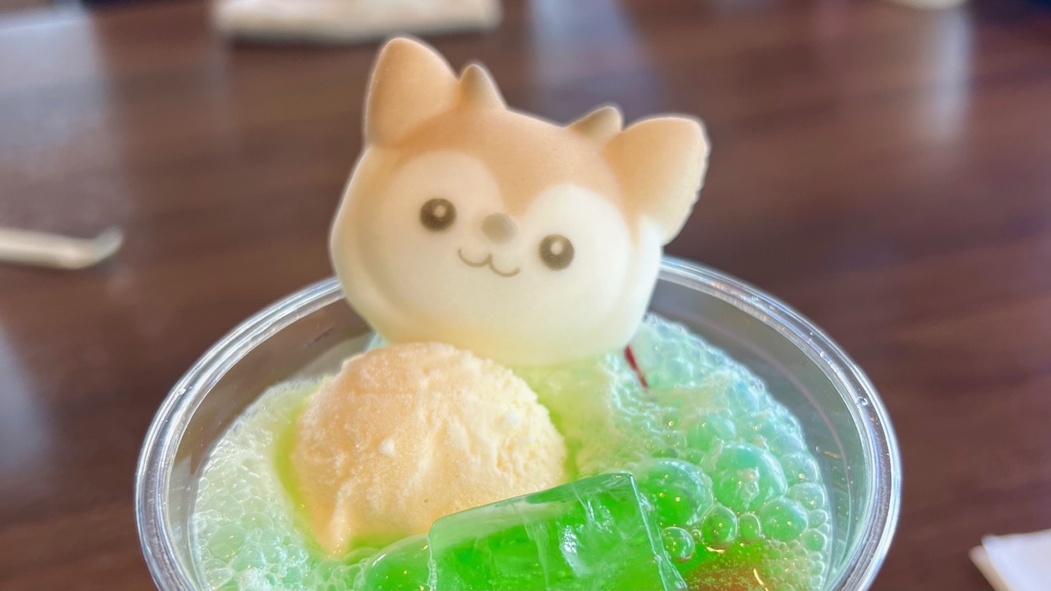 【広間食│ロープウエイ往復チケット付き】当館すぐ前、歩いて１分！季節のお料理