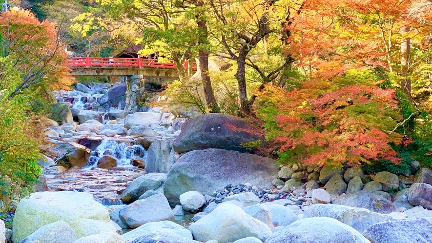 大石公園　秋